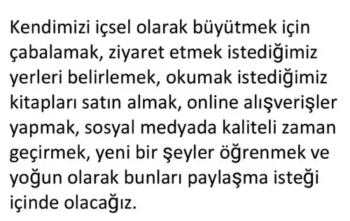 y50 (5).webp