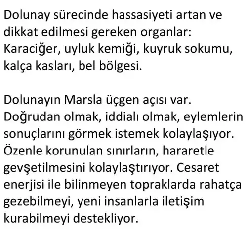 y50 (7).webp