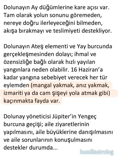 y50 (8).webp