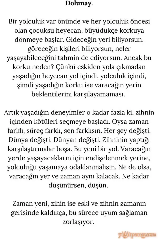 y55 (1).webp