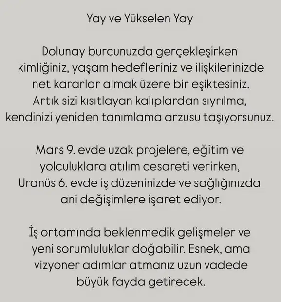 y56 (10).webp