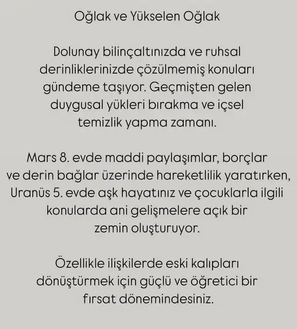 y56 (11).webp