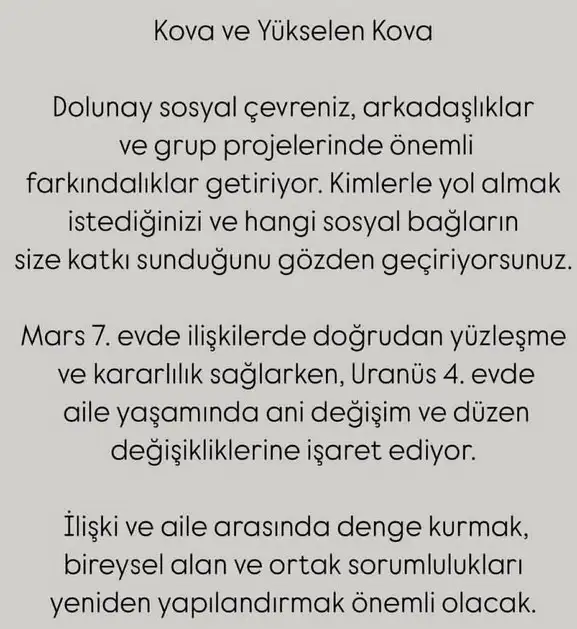 y56 (12).webp
