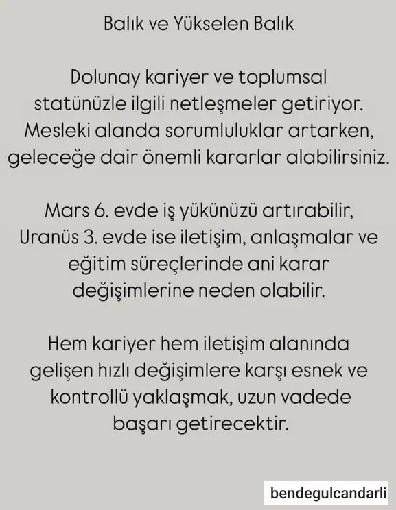y56 (13).webp