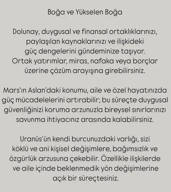 y56 (3).webp