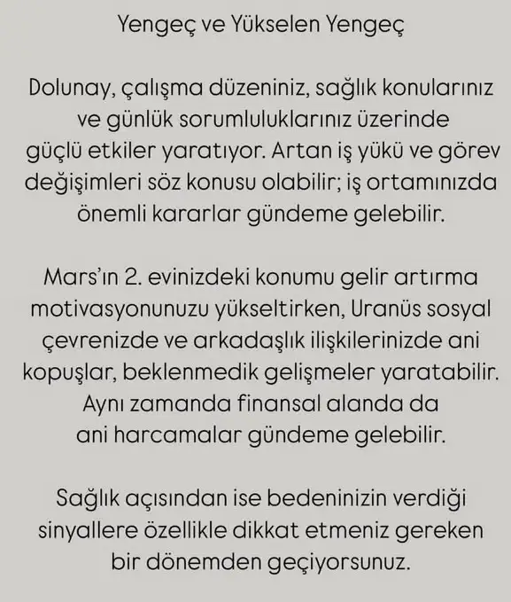 y56 (5).webp