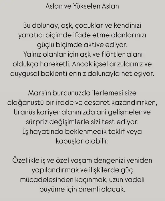 y56 (6).webp