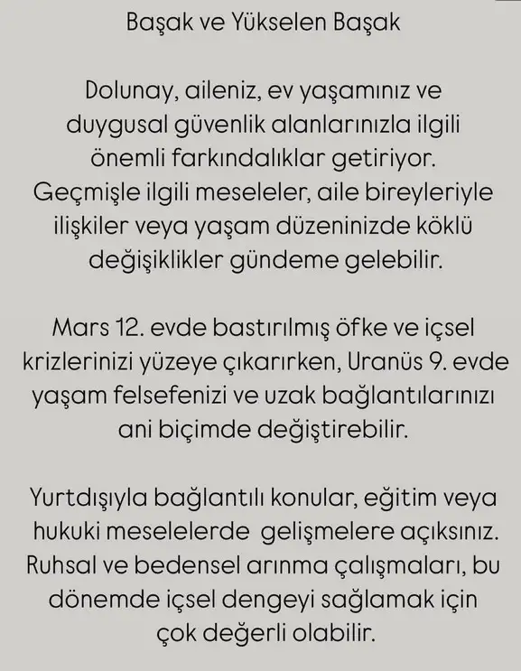 y56 (7).webp