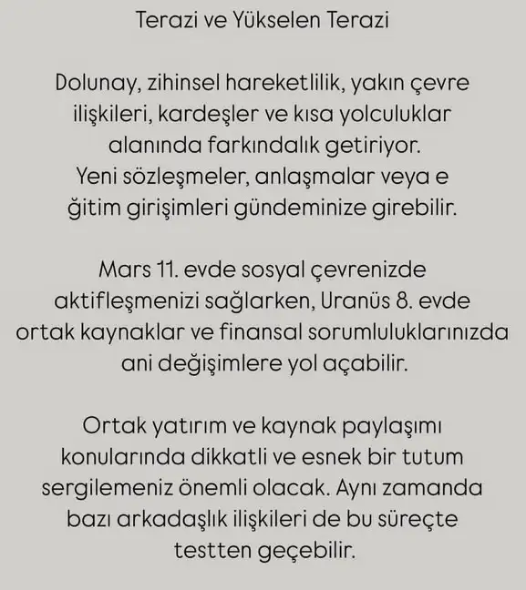 y56 (8).webp