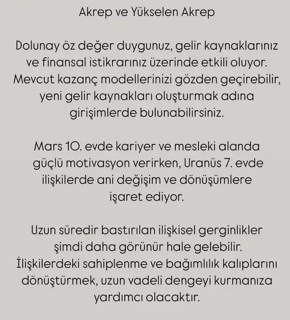 y56 (9).webp