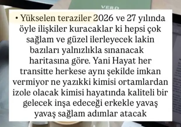 y6 (1).webp