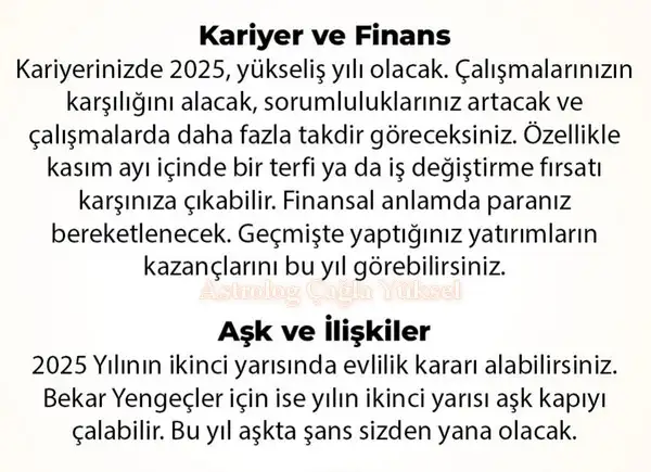 y6 (15).webp