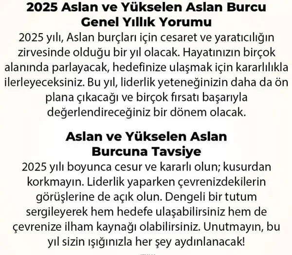 y6 (18).webp