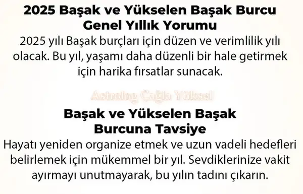 y6 (22).webp