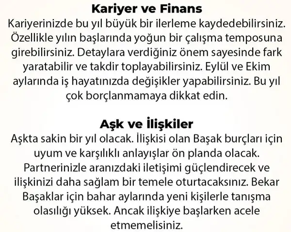 y6 (23).webp