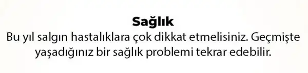 y6 (24).webp