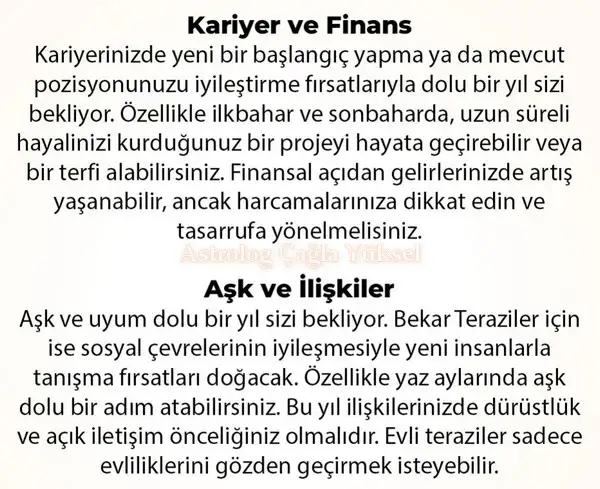 y6 (27).webp