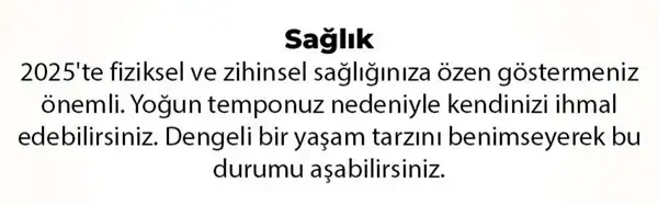 y6 (28).webp