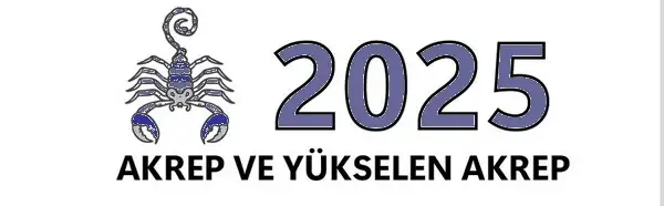 y6 (29).webp