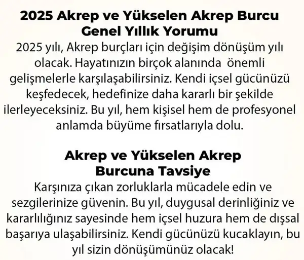 y6 (30).webp