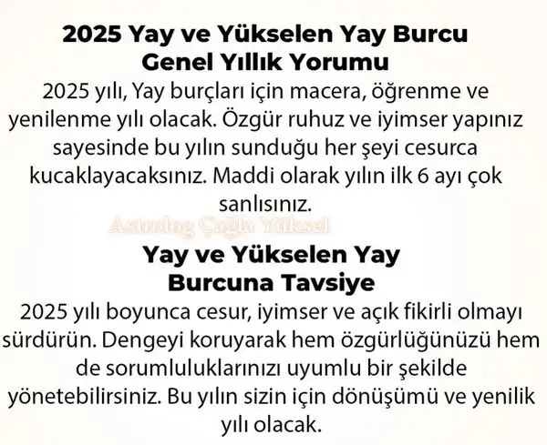 y6 (34).webp