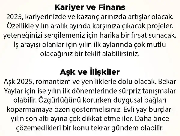 y6 (35).webp
