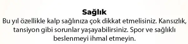 y6 (36).webp