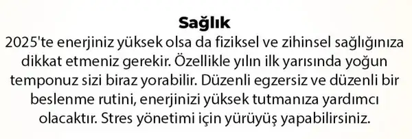 y6 (4).webp