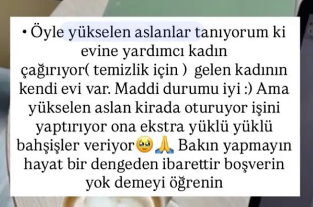 y6 (4).webp