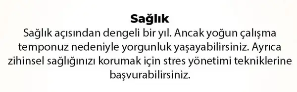 y6 (40).webp