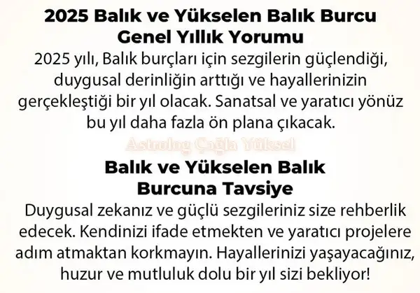y6 (46).webp