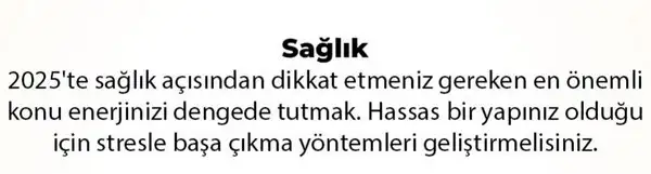 y6 (48).webp