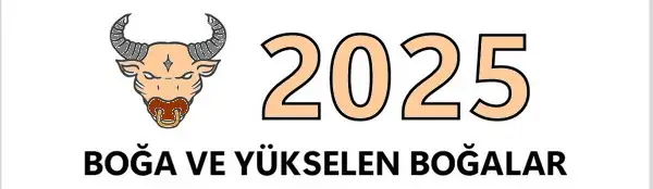 y6 (5).webp
