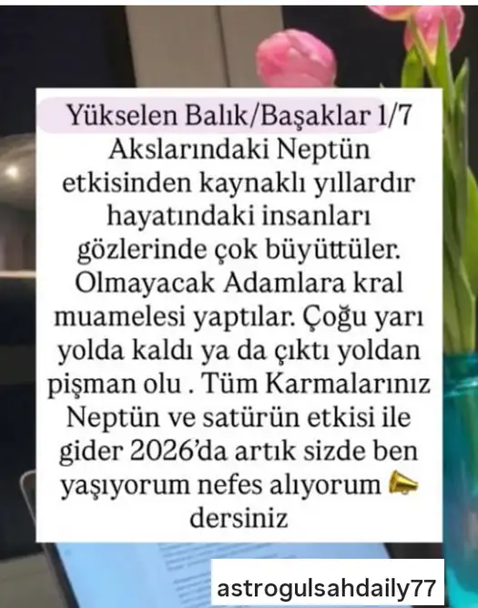 y6 (5).webp