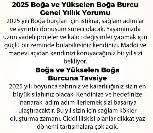 y6 (6).webp