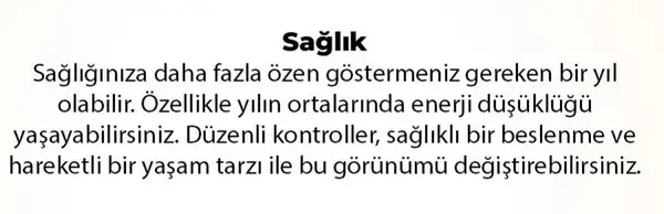 y6 (8).webp