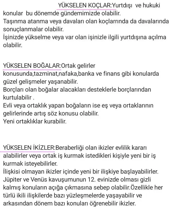 y7 (2).webp