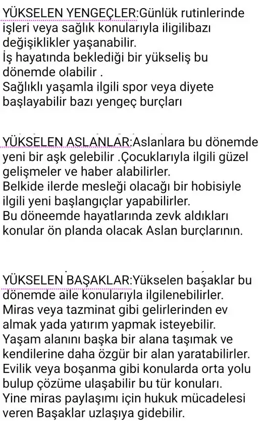 y7 (3).webp
