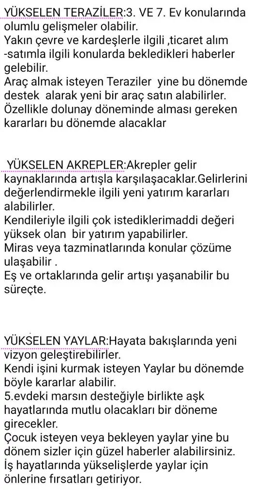 y7 (4).webp
