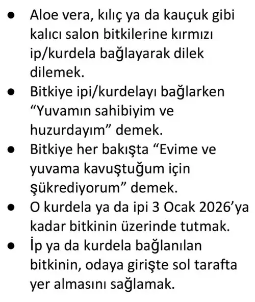y8 (10).webp