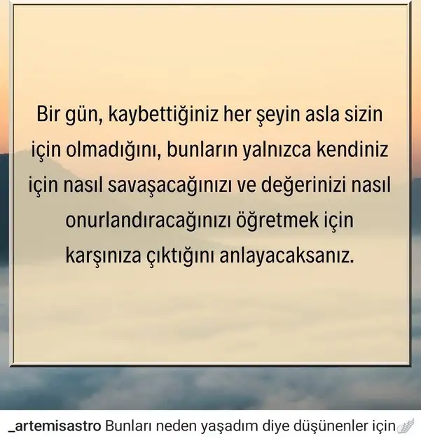 y9.webp