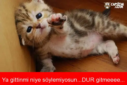 ya-gittinmi-niye-soylemiyosundur-gitmeeee-capsi.webp