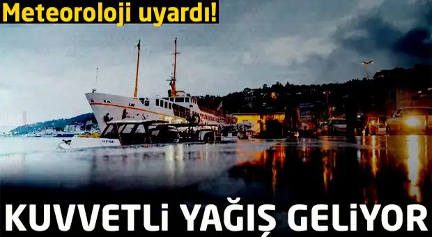 yagis_387380506570c98d62c8ea.webp