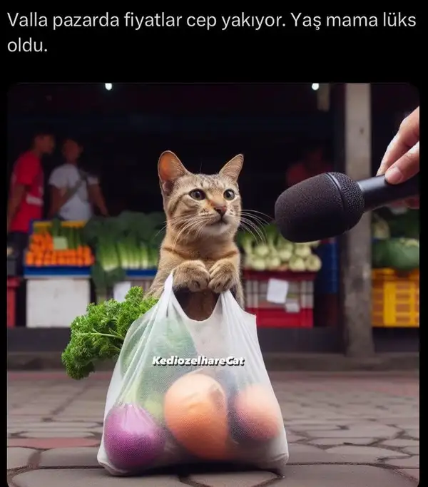 yapay zeka kedi3 (3).webp