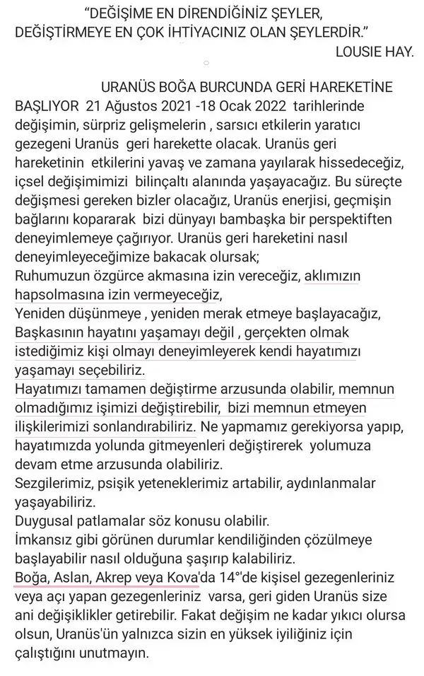 yasemin özbek.webp