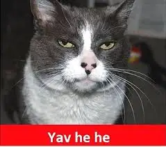 yavhehe.webp