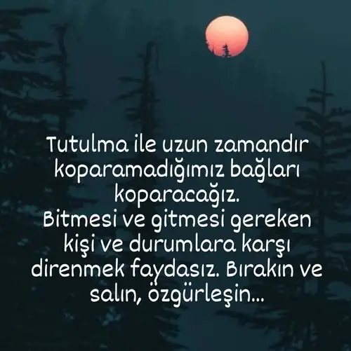 yay zeynep kırbıç (2).webp