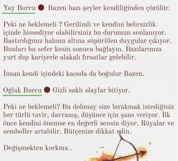 yay18 (7).webp