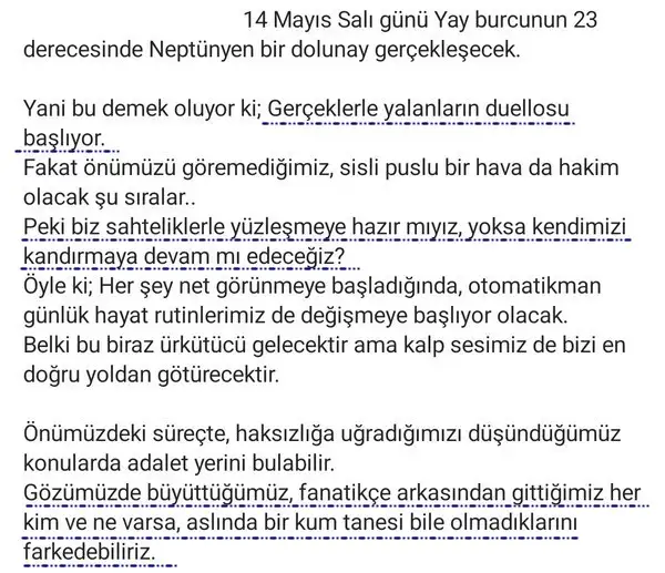 yay20 (3).webp