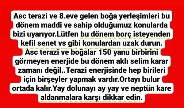 yay22 (2).webp